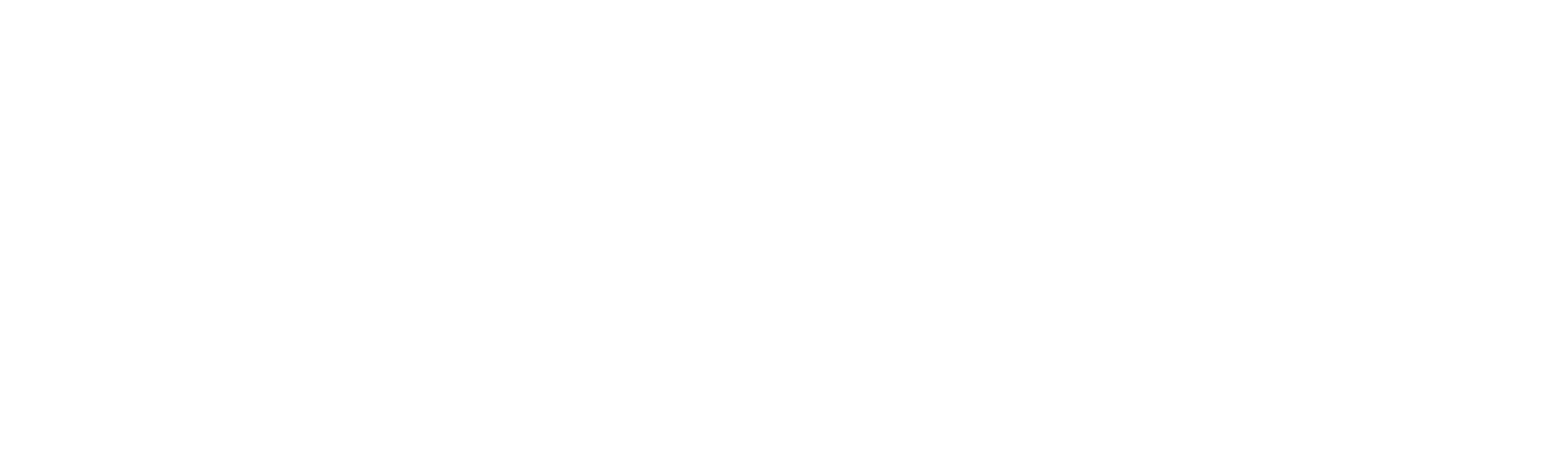 Technology Service Corporation